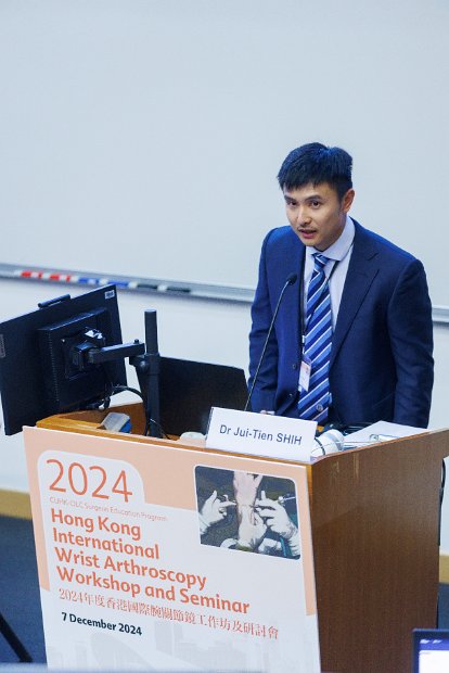 HK Wrist Course 2024- Seminar  - 218 of 257